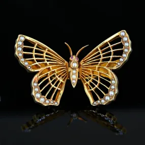 Antique AJ Hedges 14K Gold Pearl Ruby Butterfly Brooch Clip