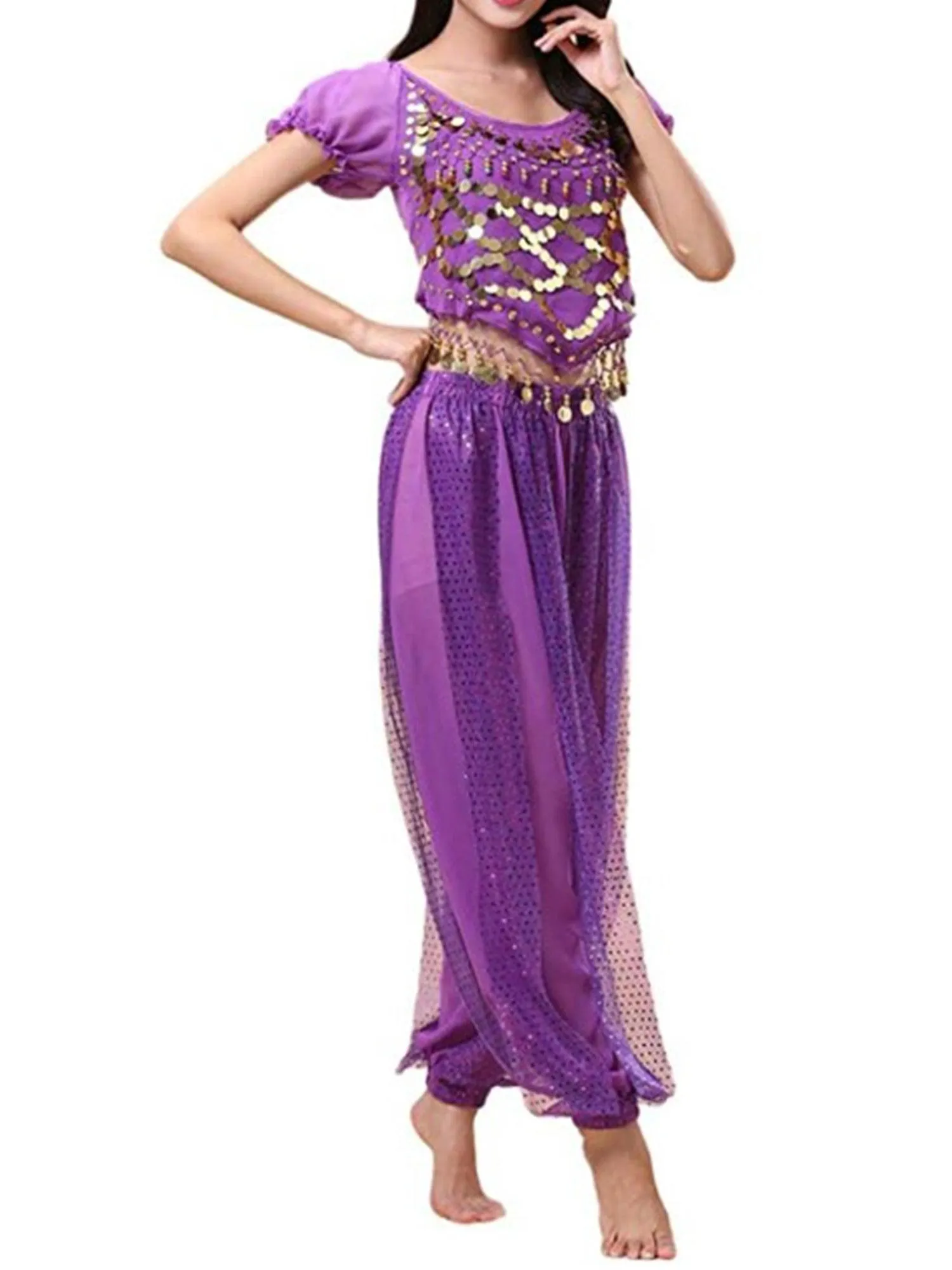 Belly Dancer Costume Puff Sleeves Sequin Top with Harem Pants