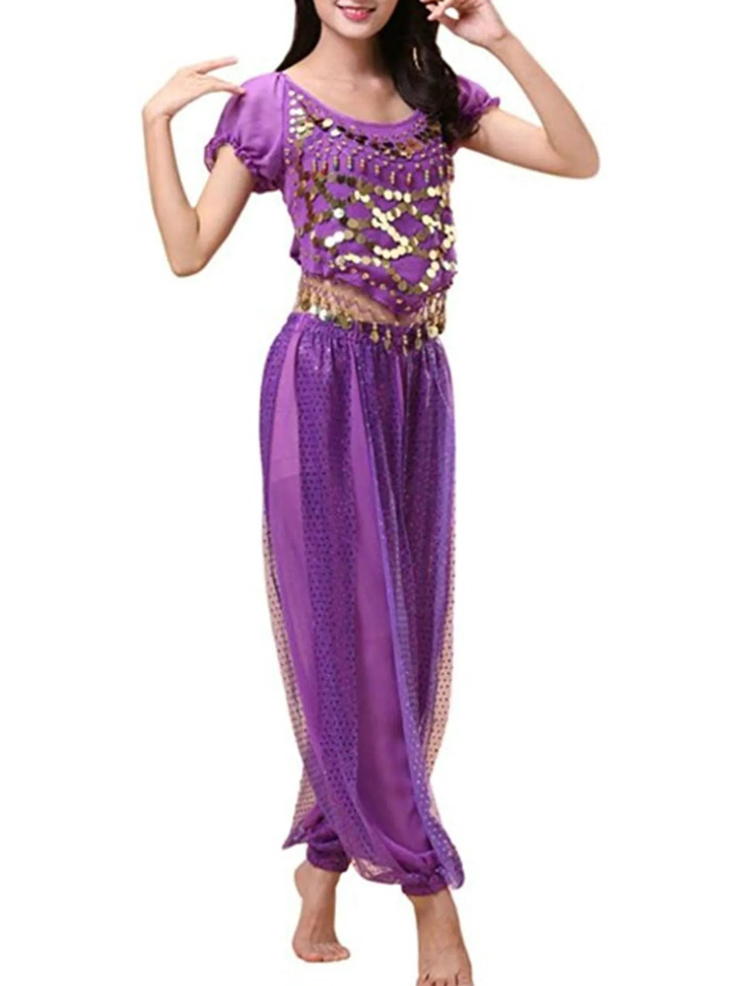 Belly Dancer Costume Puff Sleeves Sequin Top with Harem Pants