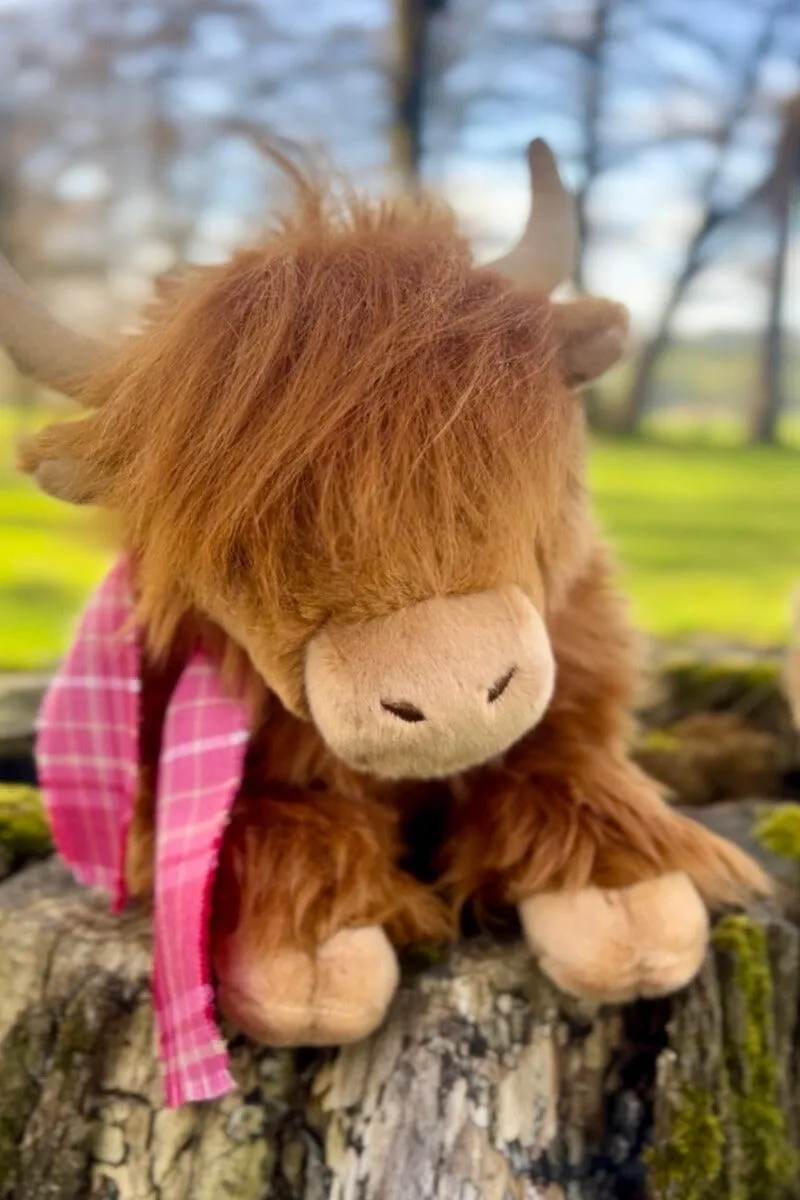 Curaidh Muckle Coo  (The Official Pink Ribbon Tartan)