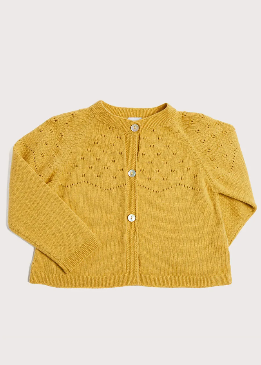 Openwork Buttoned Cardigan in Mustard (12mths-10yrs)