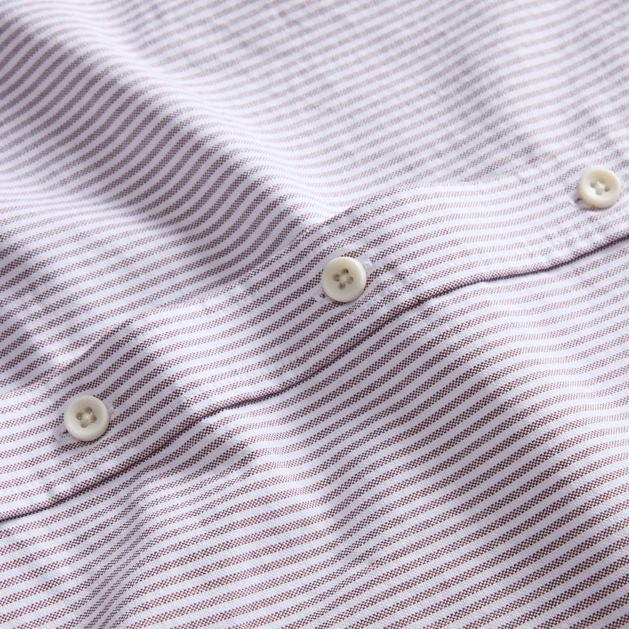 The Jack in Burgundy University Stripe Oxford